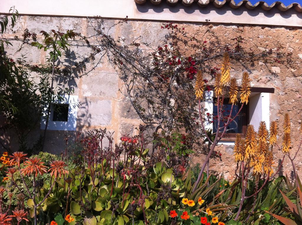 Appartement Libertad Mallorca
