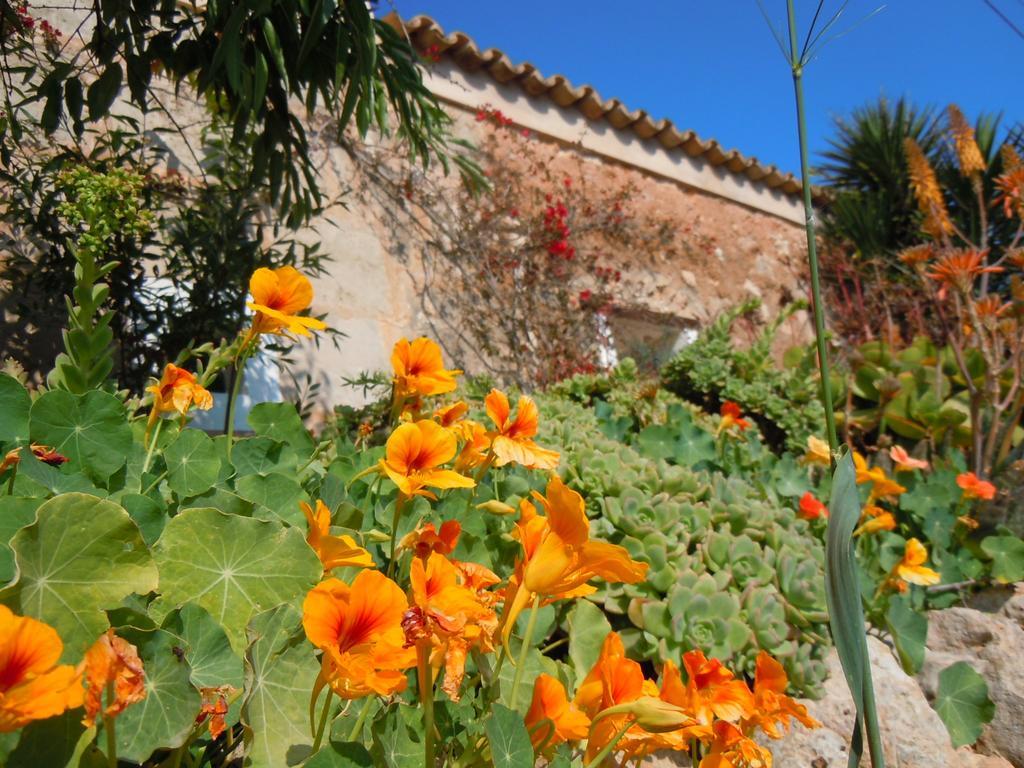 Libertad Mallorca Appartement *