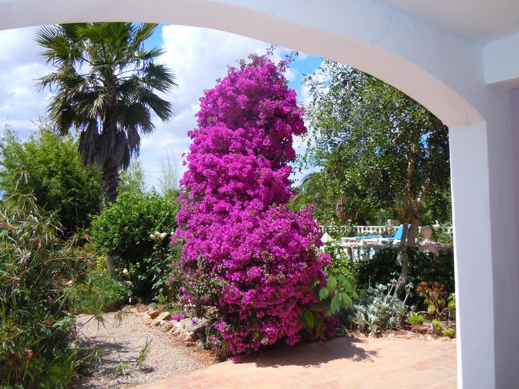 Libertad Mallorca Appartement *