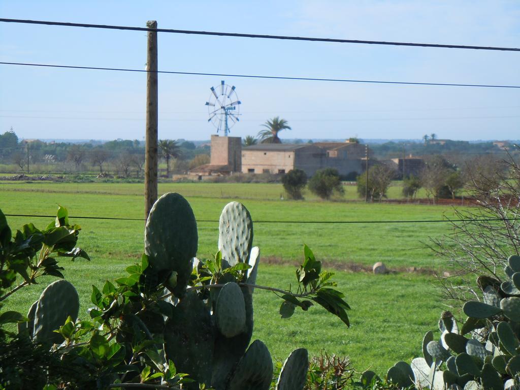 Libertad Mallorca * Campos (Mallorca)