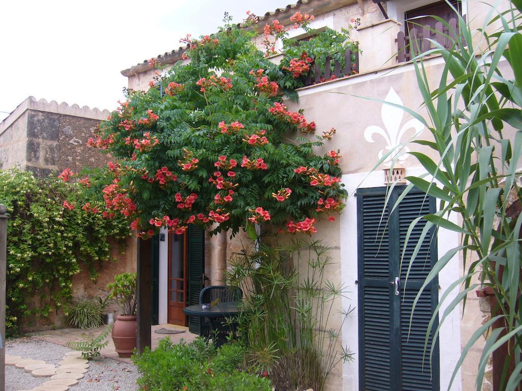 Apartment Libertad Mallorca