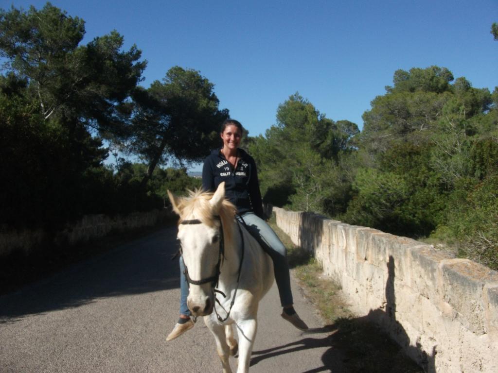 Appartement Libertad Mallorca *