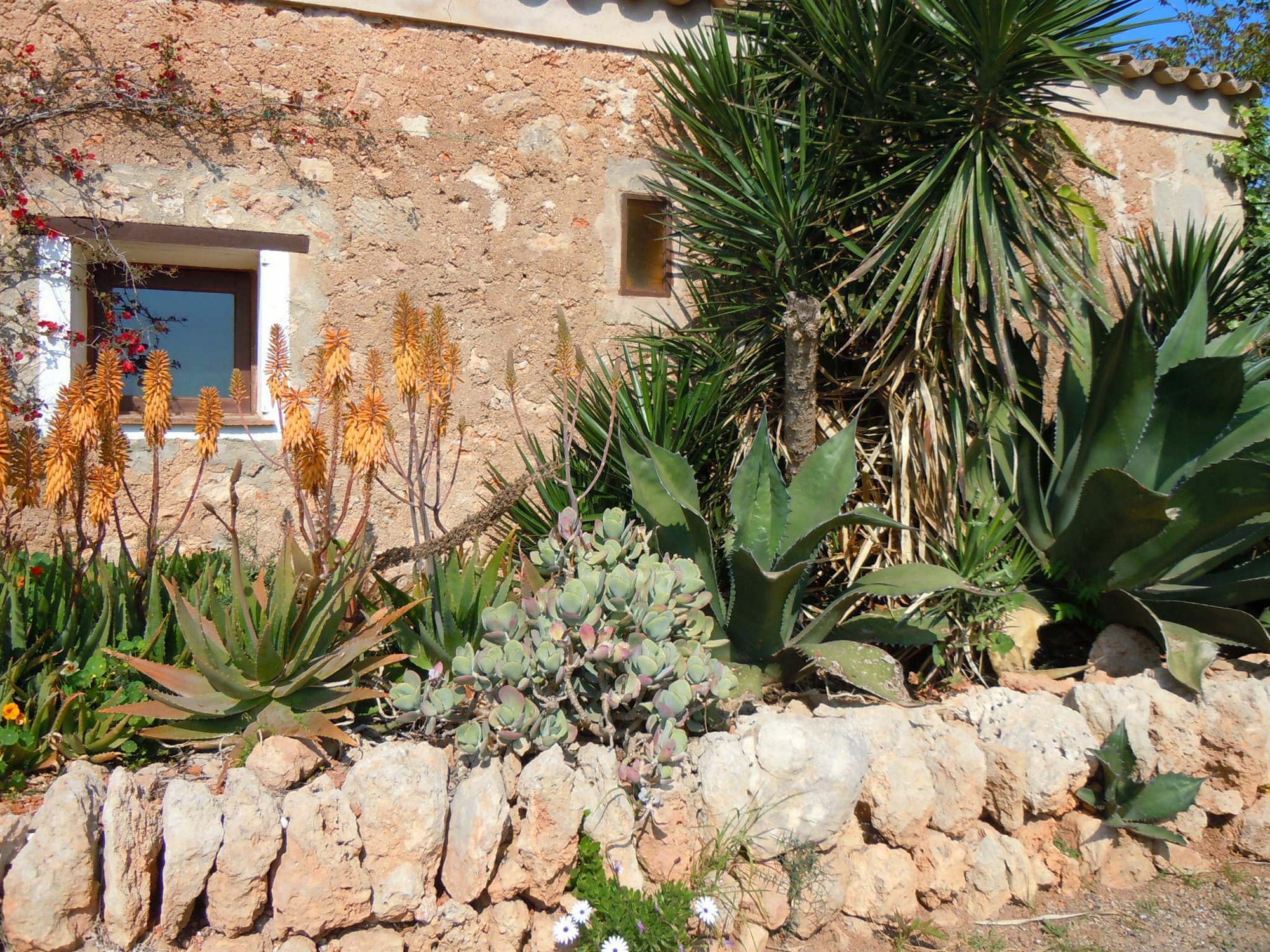 Libertad Mallorca Appartement *