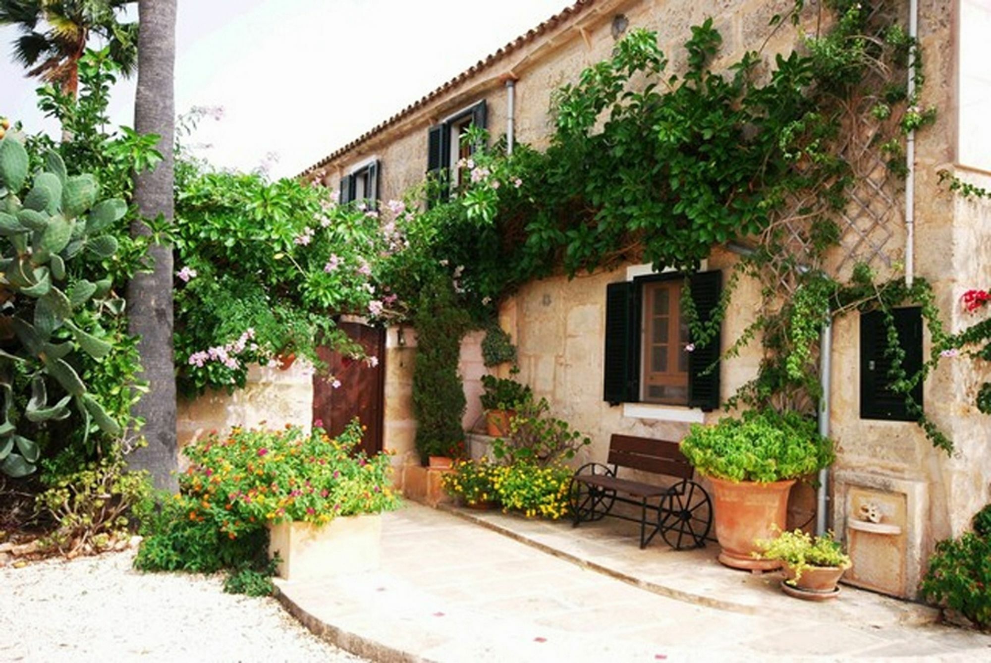 Libertad Mallorca Campos (Mallorca)