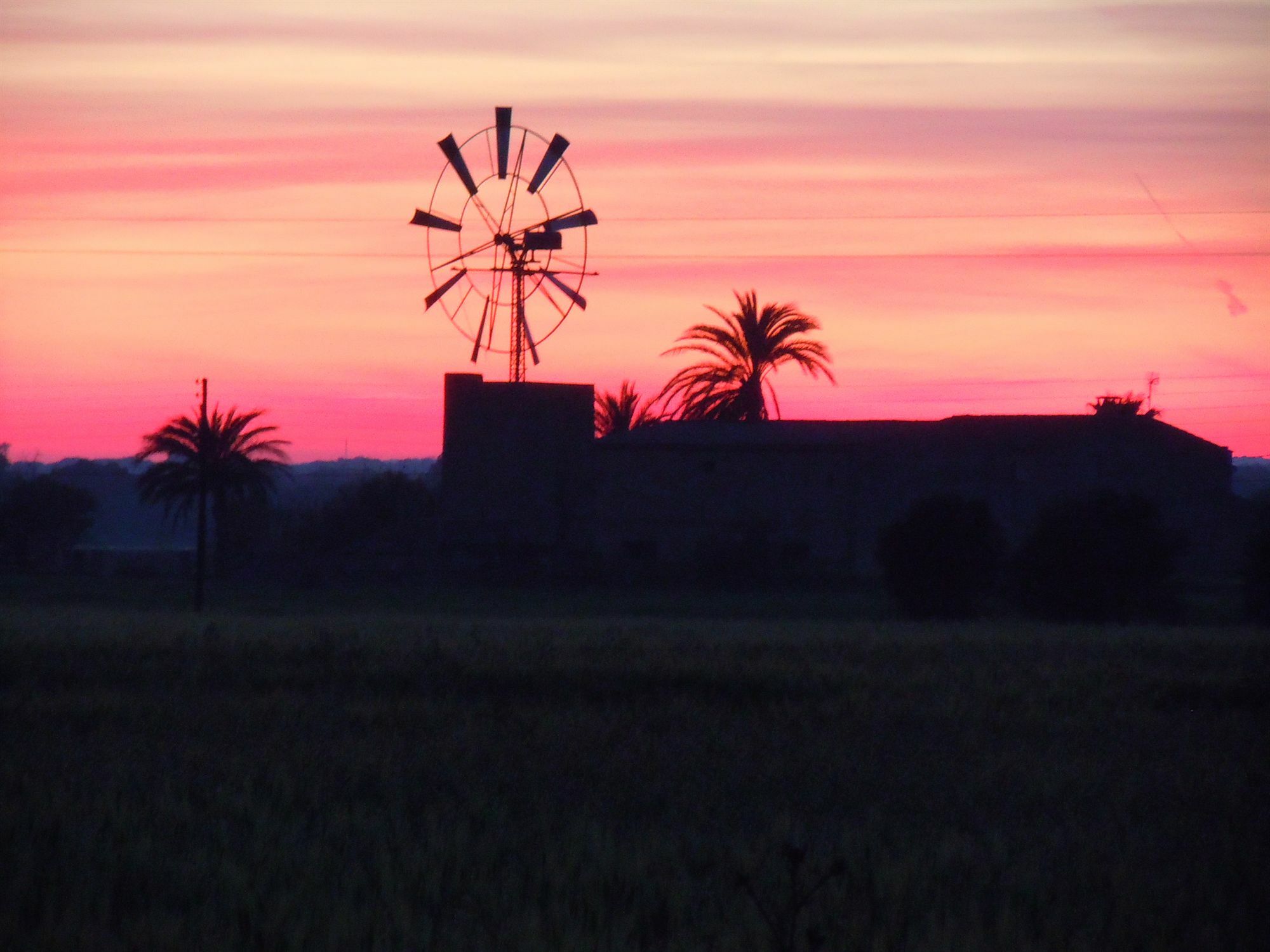 Libertad Mallorca Appartement Campos (Mallorca)