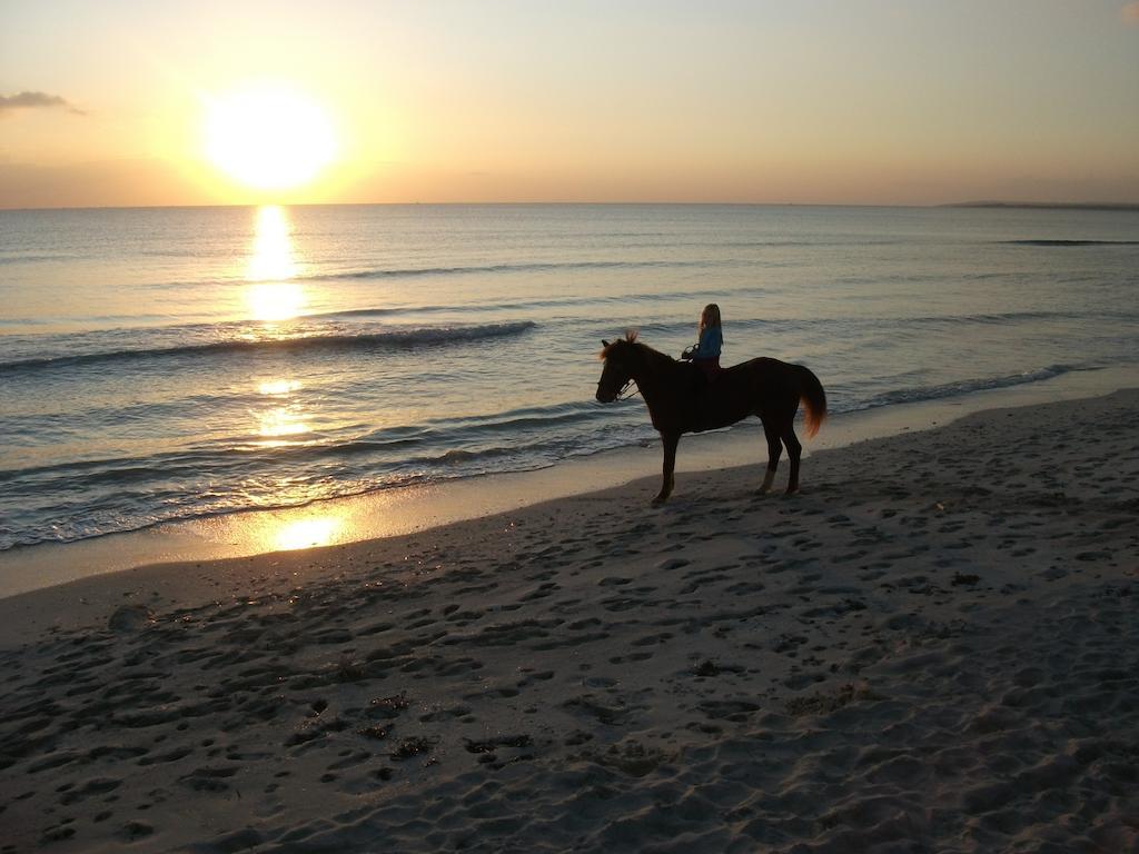 Libertad Mallorca Campos (Mallorca)