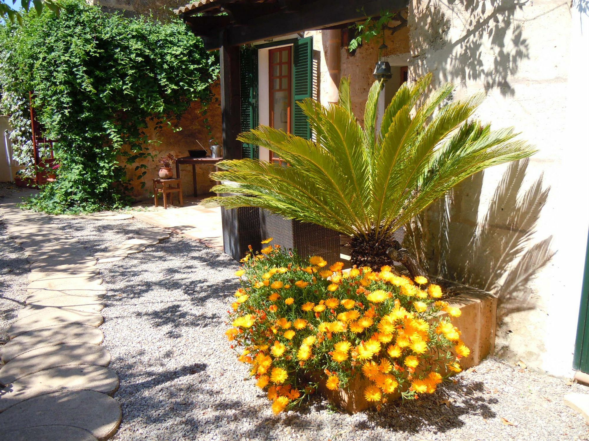 Libertad Mallorca * Campos (Mallorca)